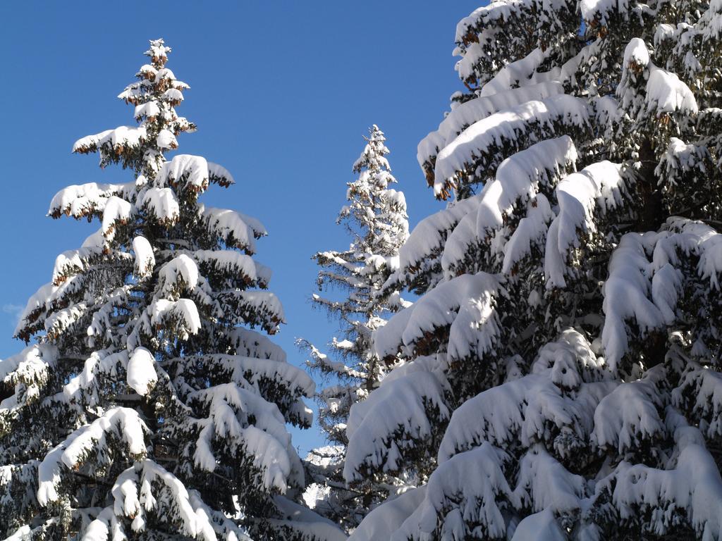 Swissflair Zermatt